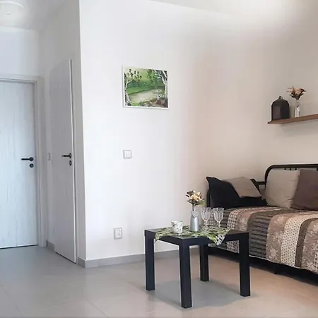 Apartament Rezidence 1923 *